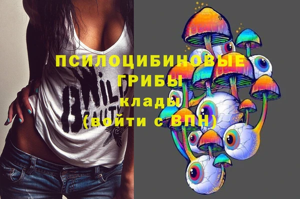 марки nbome Богданович