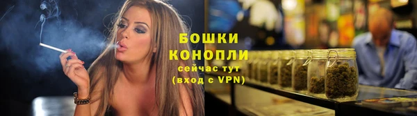 прущие грибы Куйбышев