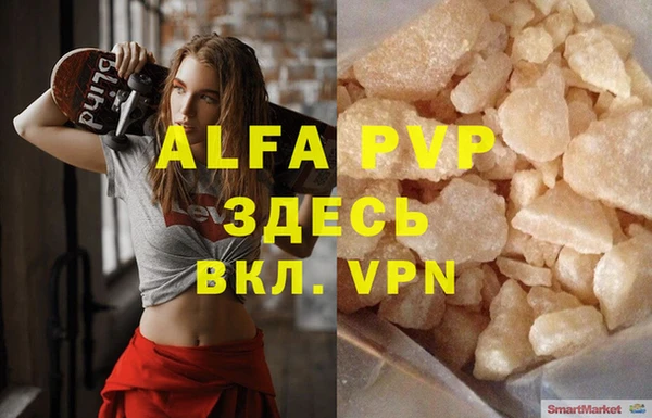 прущие грибы Куйбышев