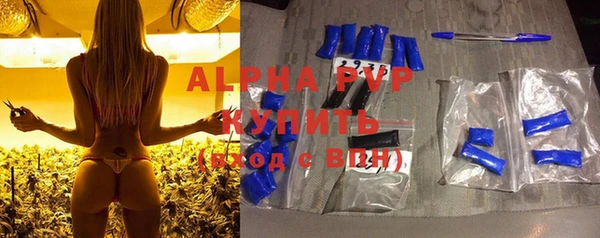 прущие грибы Куйбышев