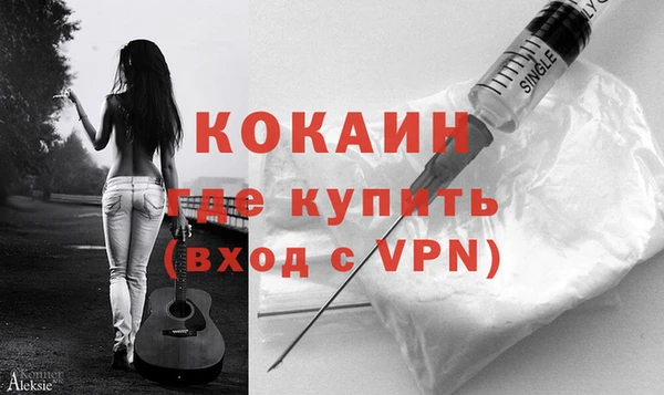прущие грибы Куйбышев