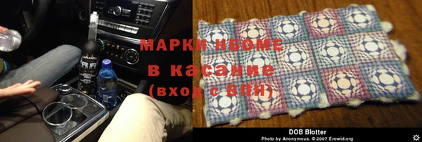 прущие грибы Куйбышев