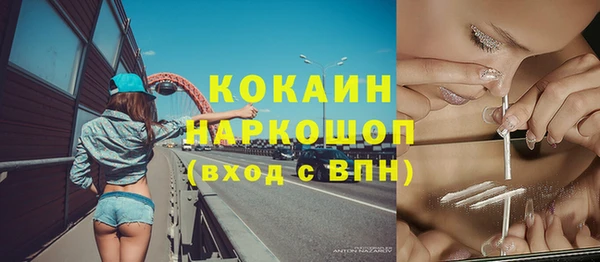 прущие грибы Куйбышев
