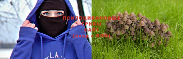 прущие крисы Кулебаки