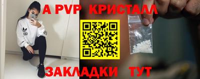 спиды Донской